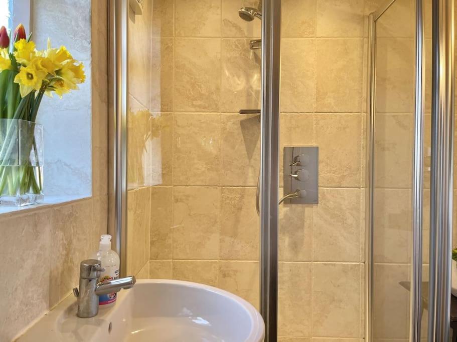 The Cove Holiday home Deal